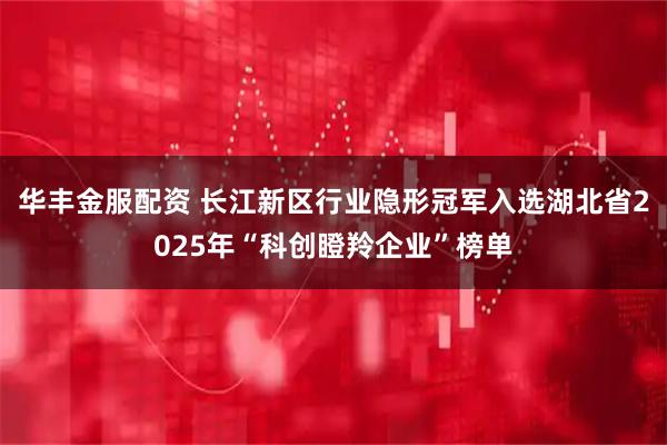 华丰金服配资 长江新区行业隐形冠军入选湖北省2025年“科创瞪羚企业”榜单