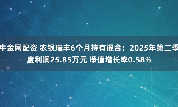 牛金网配资 农银瑞丰6个月持有混合：2025年第二季度利润25.85万元 净值增长率0.58%